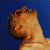 :iconpeaceischeap: