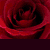 :iconpeacelovehappiness: