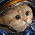 :iconpeacemaker747: