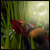 :iconpeaceshot: