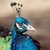 :iconpeacock78: