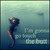 :iconpeacockfeatherjewel: