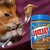 :iconpeanut-butter-bandit: