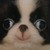 :iconpeanutbutterdogplz: