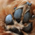 :iconpeanutbutterthedog:
