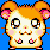 :iconpeanutbutterzebra:
