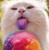 :iconpeanutfunky: