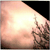 :iconpeanutstospace: