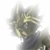 :iconpearl-dragon: