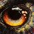 :iconpearl-kitsune: