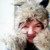 :iconpearlescent-wings: