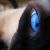 :iconpearlescentreign: