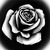 :iconpearliewolf: