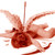 :iconpearlshining: