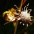 :iconpebblephotos: