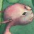 :iconpebblepixie: