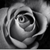 :iconpebbles87: