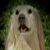 :iconpeckinpaw: