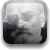 :iconpecuchet: