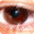 :iconpedrocostalopes: