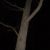 :iconpeekbehindthecurtain: