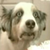 :iconpeercevitagen: