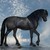 :iconpegasus212:
