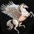 :iconpegasuslover19: