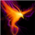 :iconpele902:
