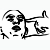 :iconpemmica: