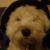 :iconpencilcasey: