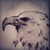 :iconpencl11: