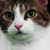 :iconpendas-photography: