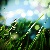 :iconpengu82: