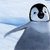 :iconpenguin-dumpling: