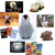 :iconpenguin2116: