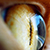 :iconpenguin27: