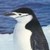 :iconpenguin67: