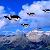 :iconpenguination: