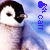 :iconpenguincarr:
