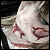 :iconpenguinclair: