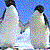 :iconpenguincorrosive: