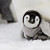 :iconpenguinloverrr: