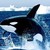 PenguinMarch :iconpenguinmarch: