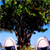 penguinrock :iconpenguinrock: