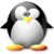 :iconpenguintb: