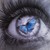 :iconpennamore: