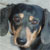 :iconpenny-halfcent: