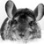 :iconpennykettle: