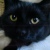 :iconpennylane9420: